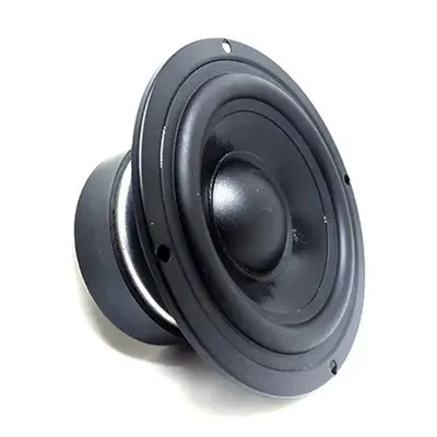 Altoparlante professionale Woofer da 4 pollici